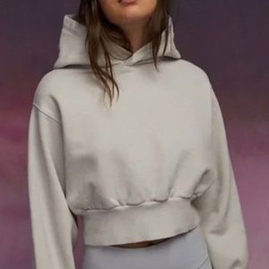 Aritzia CozyAF Cropped Hoodie